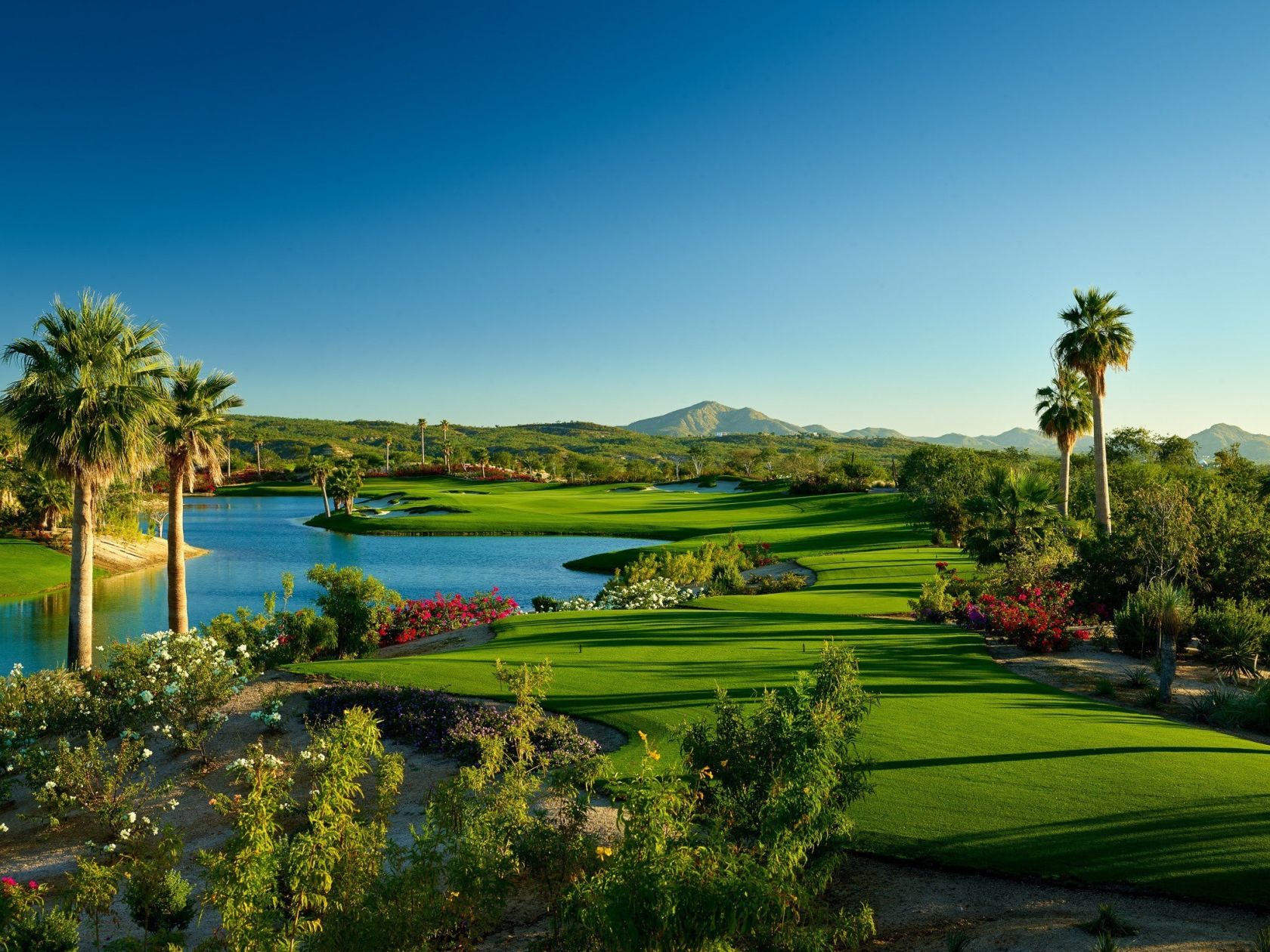 Golf Gallery Chileno Bay Golf and Beach Club